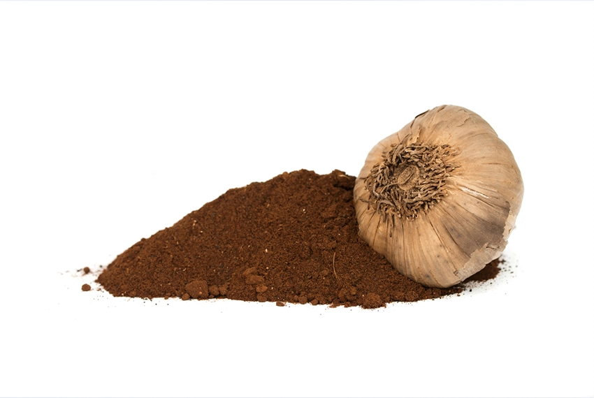 black-garlic-powder