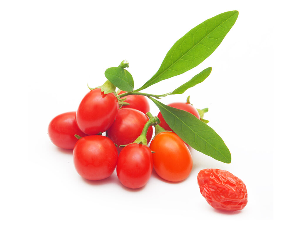 Goji Berry Description Image