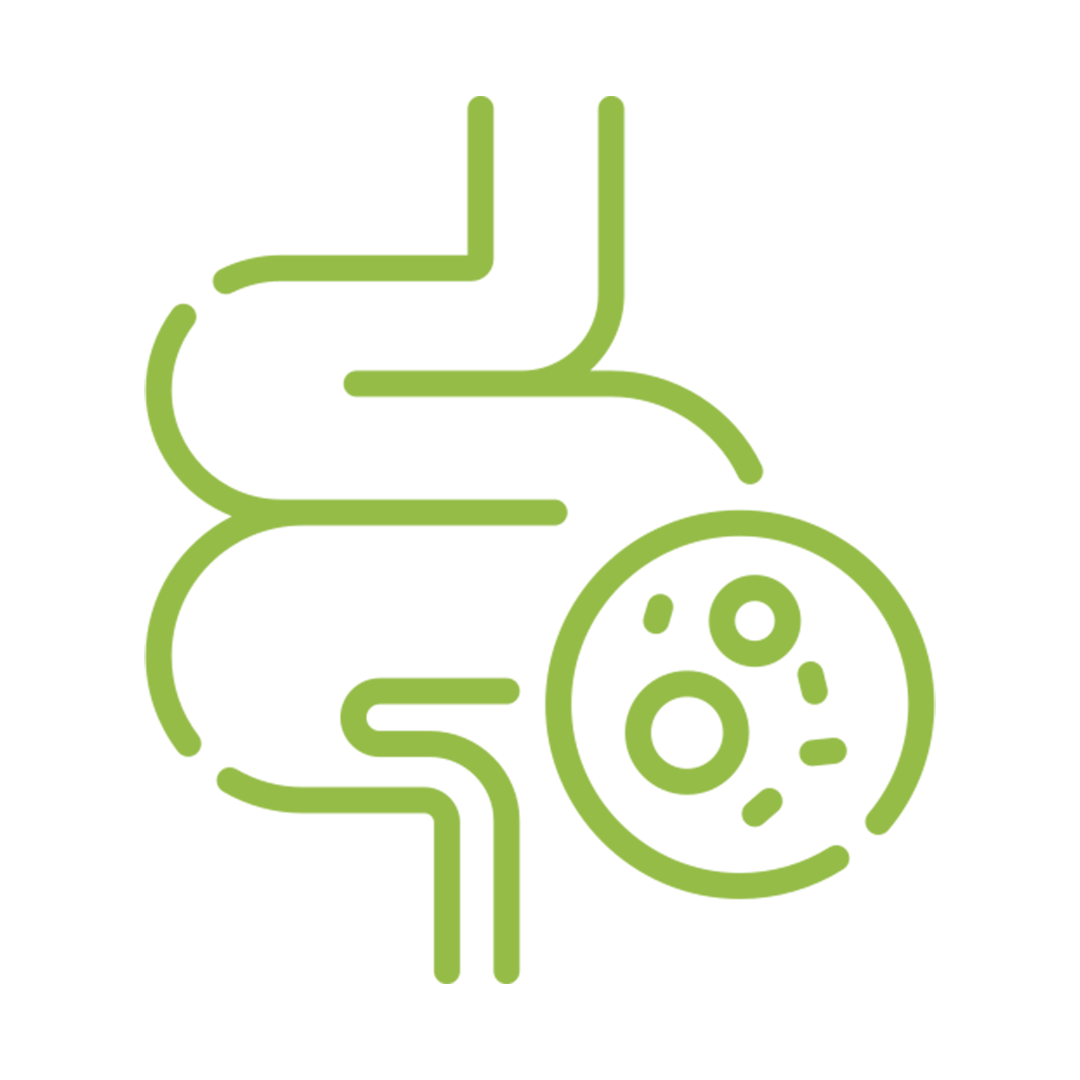 Gut-Health