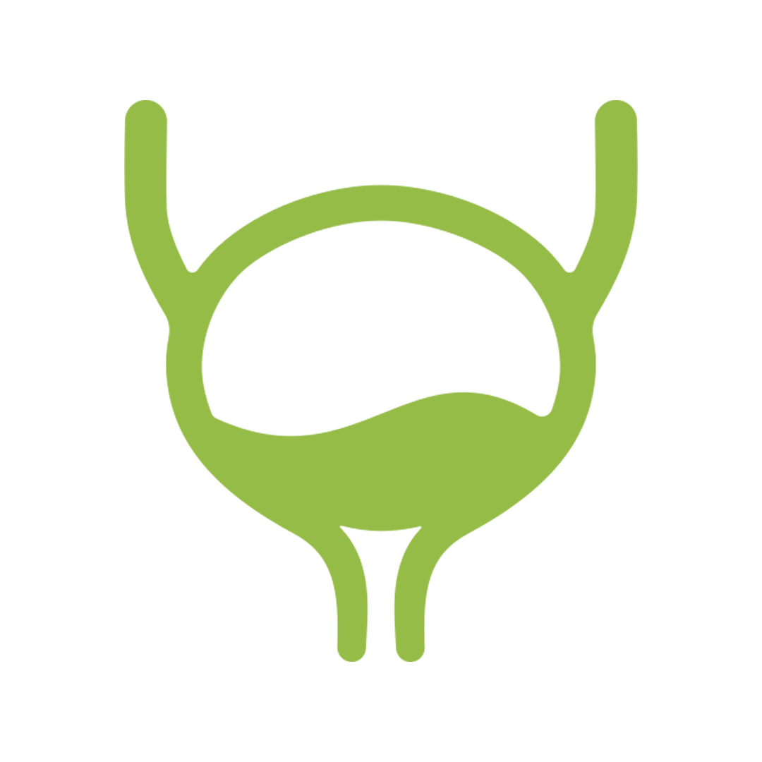 Urinary Bladder icon