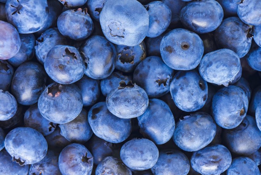 Blueberry